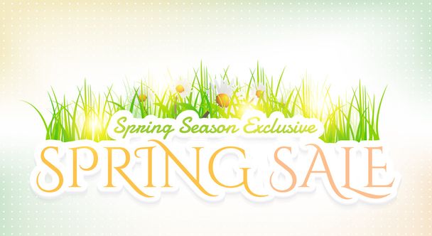 Spring Seasons Sale Website Banner and Colorful Blurred Background Design - Vecteur, image