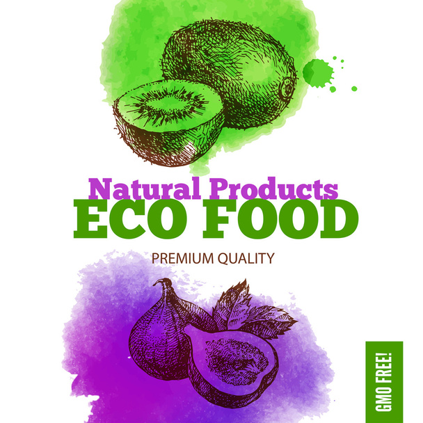Eco voedsel menu - Vector, afbeelding