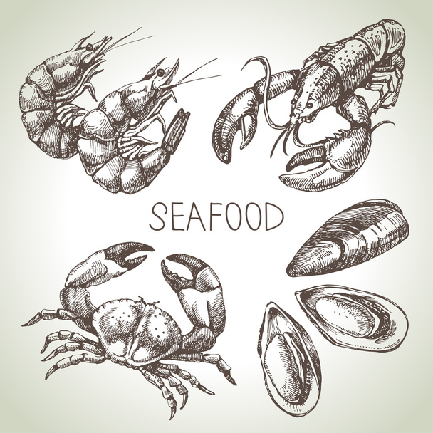 Hand drawn sketch set of seafood.  - Vector, Image