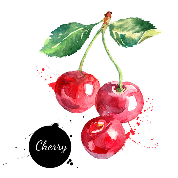 Hand drawn watercolor painting cherries - Vector, Image