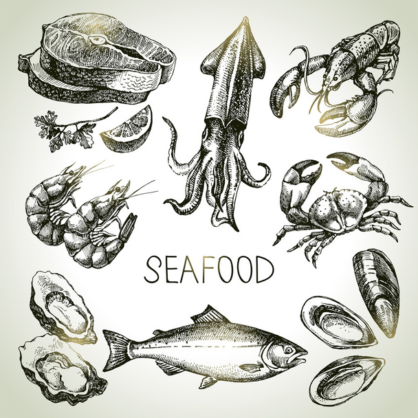 Набір ескізів ручної роботи з морепродуктів
.  - Вектор, зображення
