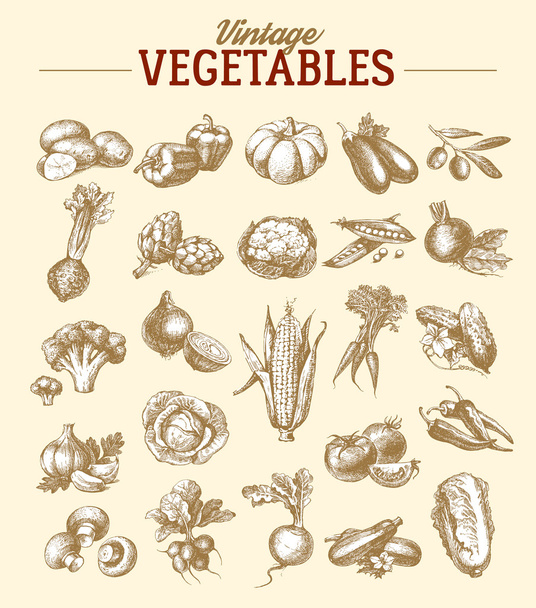 Hand drawn sketch vegetables - Vector, Image