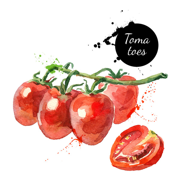 Watercolor datterino tomatoes - Vector, Image