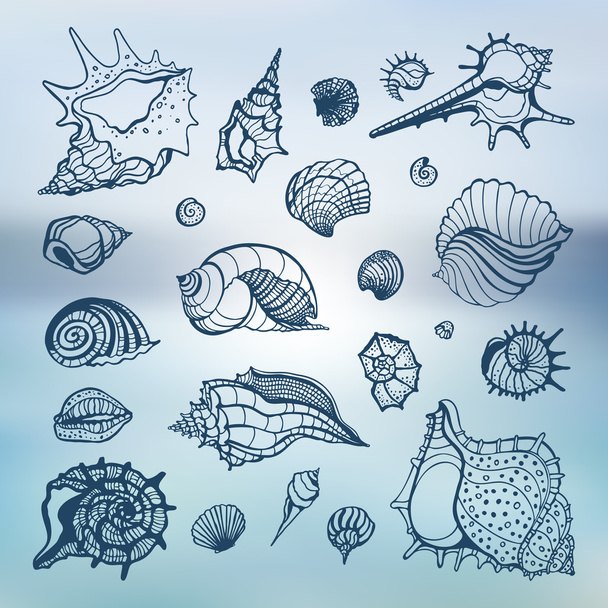 Collection of seashells - Vector, Imagen