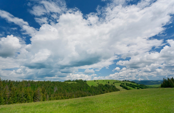 Зелений газон на сільському пейзажі з хмарами на небі
 - Фото, зображення