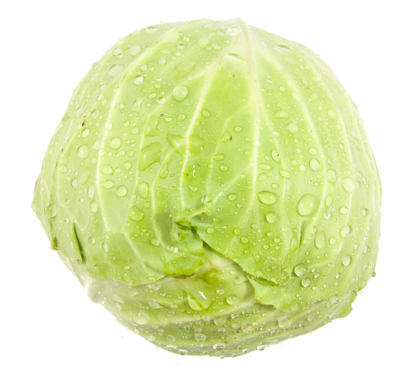 top view green cabbage isolated  - 写真・画像