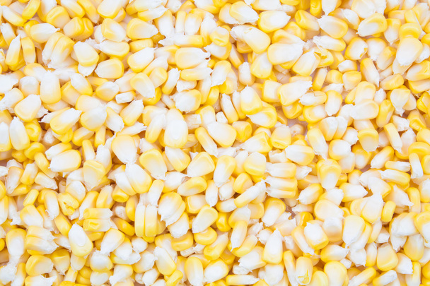 canned corn background isolated  - Foto, Bild
