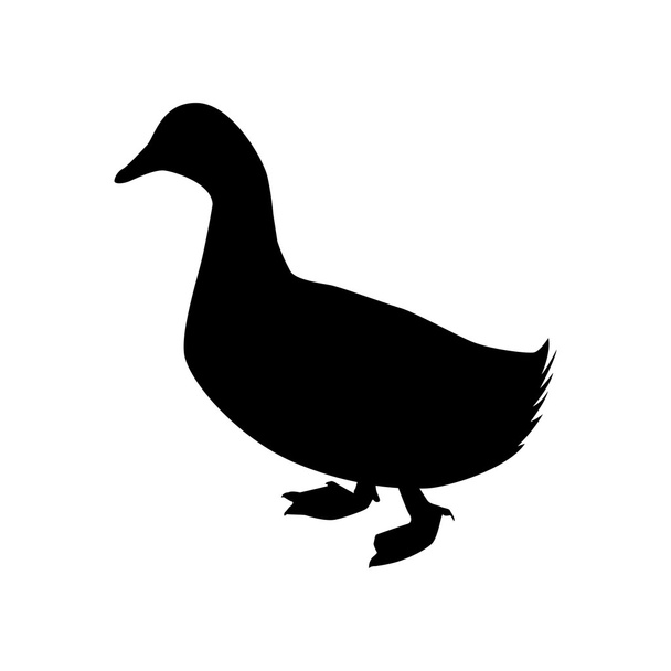 duck animal farm isolated icondesign - Vector, imagen