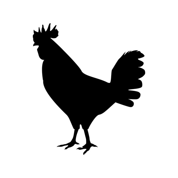 hen animal farm isolated icondesign - Vector, Image