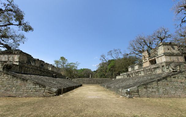 Maya ruïnes copan - Foto, afbeelding