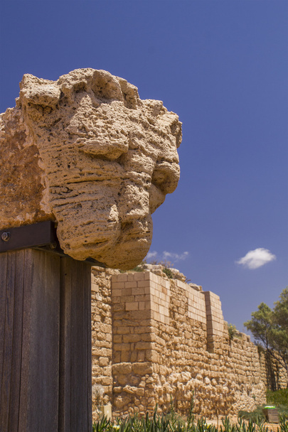 Lion's head - oude ruïnes fragment in Caesarea nationale Park.I - Foto, afbeelding