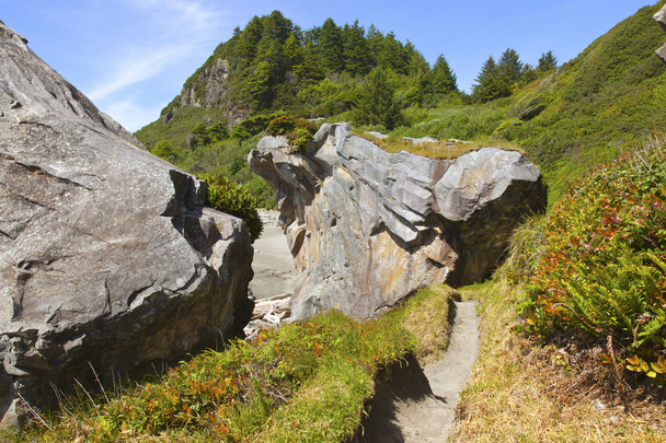 Grands rochers et végétation, côte de l'Oregon
. - Photo, image