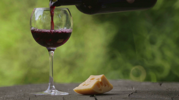 Red wine is poured into a glass. Composition with a bottle of wine and a glass. Winery, wine production. - Séquence, vidéo