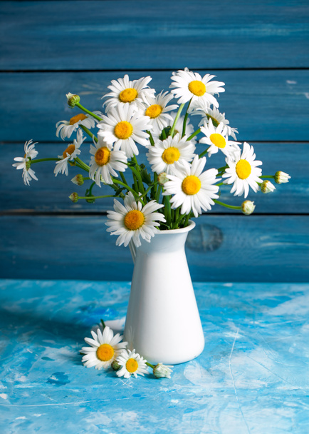 Carta floreale estiva con fiori di camomilla
 - Foto, immagini