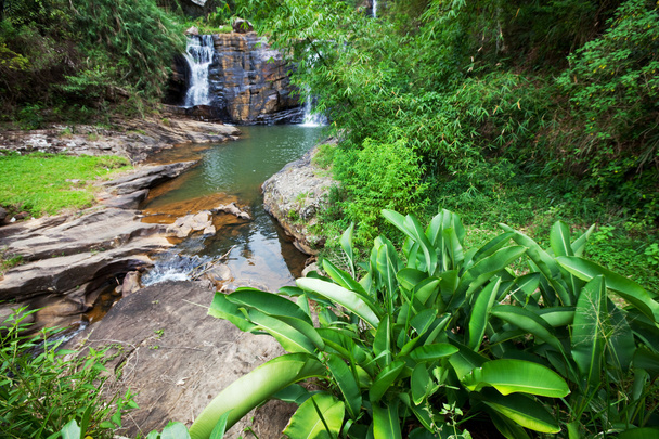 Водопад на Шри-Ланке
 - Фото, изображение