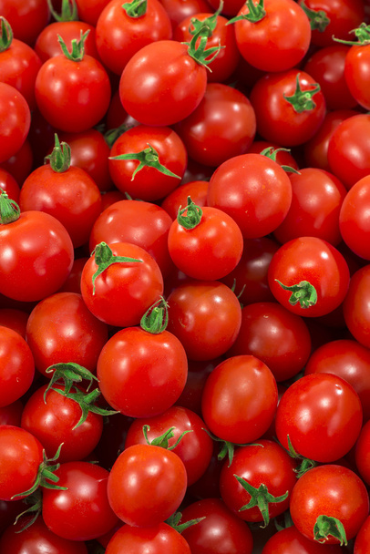 czerwone i świeże pomidory - Zdjęcie, obraz