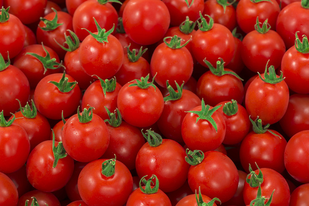 tomate rojo y fresco - Foto, Imagen