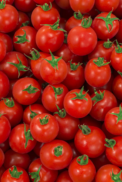 rote und frische Tomaten - Foto, Bild