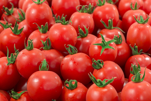 tomates rouges et fraîches - Photo, image