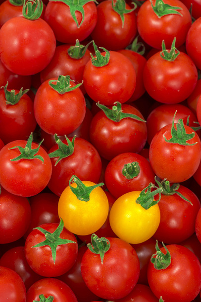 красный и свежий помидор - Фото, изображение