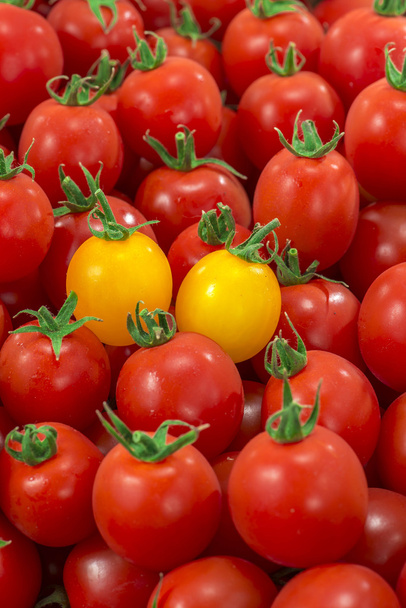 červená a čerstvá rajčata - Fotografie, Obrázek