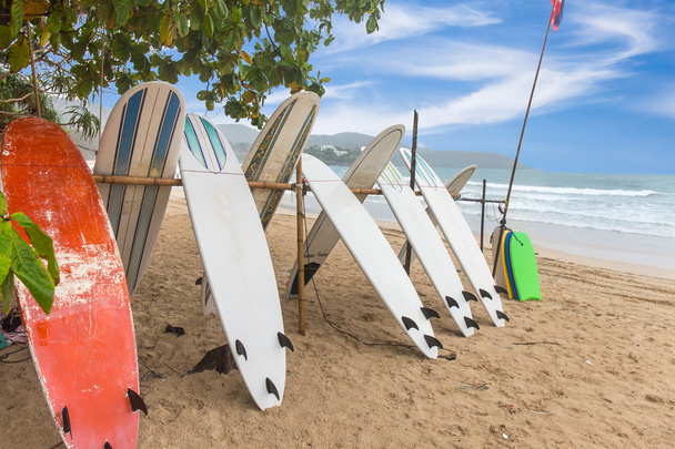 Tablas de surf en la playa de arena en kata beach Phuket, Tailandia
 - Foto, Imagen