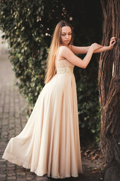 Beautiful girl with long hair posing near tree in vavel Krakow - Φωτογραφία, εικόνα