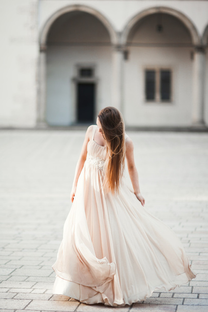 Beautiful girl, model with long hair posing in old castle near columns. Krakow Vavel - 写真・画像