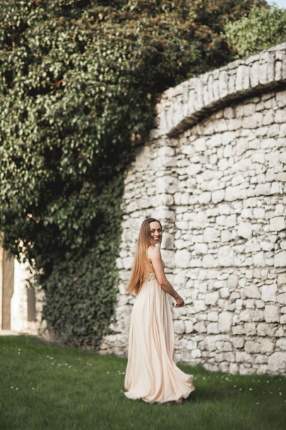 Beautiful girl, model with long hair posing in park near great wall. Krakow Vavel - Фото, изображение