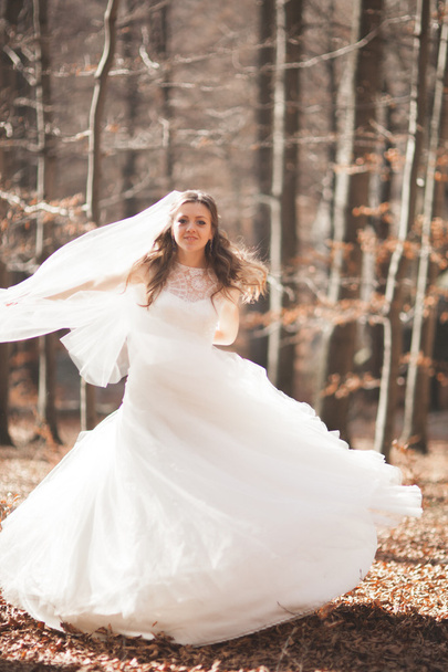 Gorgeous bride in elegant dress holding bouquet and posing near forest - 写真・画像