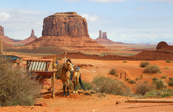 Caballo en el paisaje occidental
 - Foto, Imagen