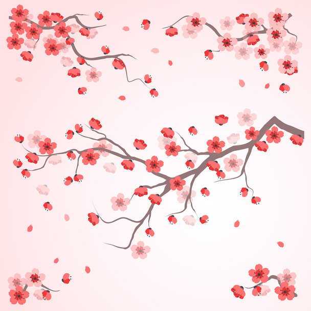 cherry blossom template  - Vetor, Imagem