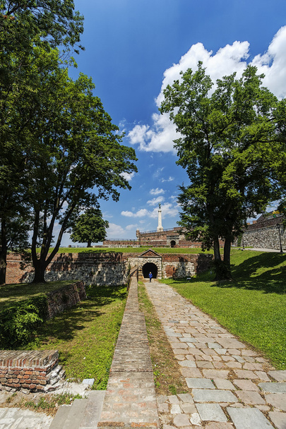 Белград фортеці та Віктор пам'ятник - Фото, зображення