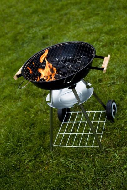 Fire, Hot grilling - Photo, Image