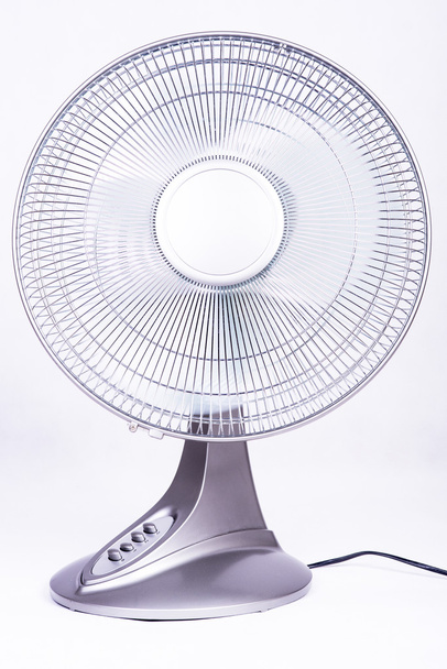 fan on the move - Photo, Image