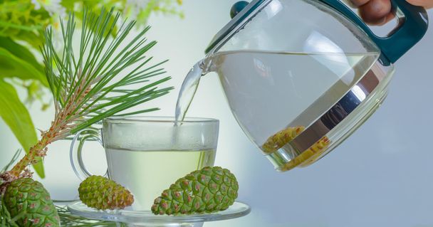 chá pinecone da natureza
 - Foto, Imagem