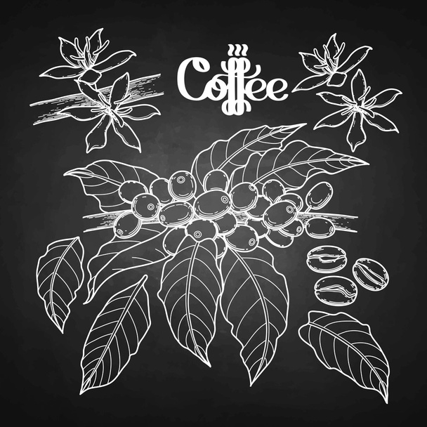 Graphic coffee collection - Vector, imagen