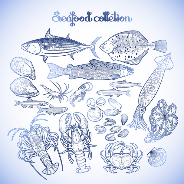 Graphic seafood collection - Vector, Image