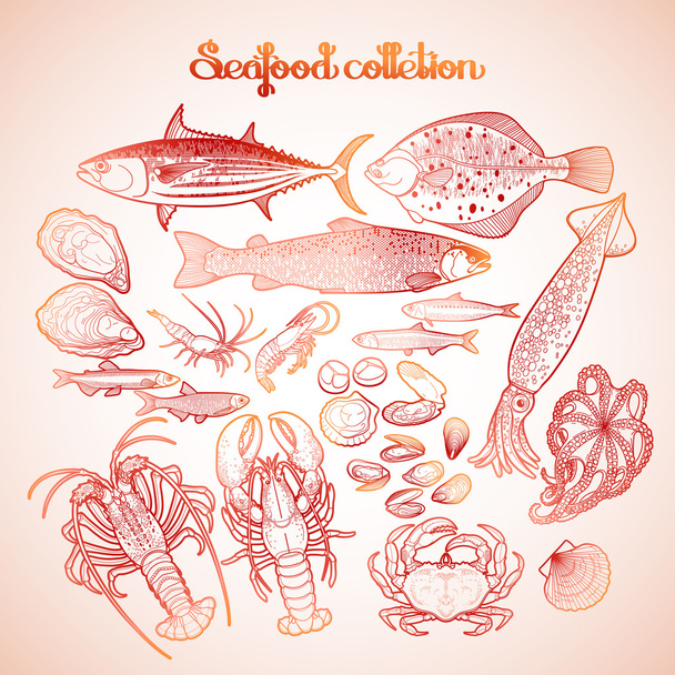 Coleta gráfica de frutos do mar
 - Vetor, Imagem