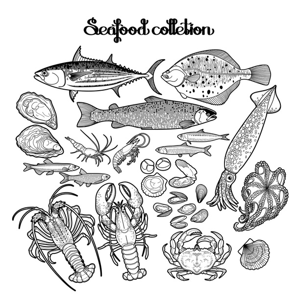Graphic seafood collection - Vector, Image