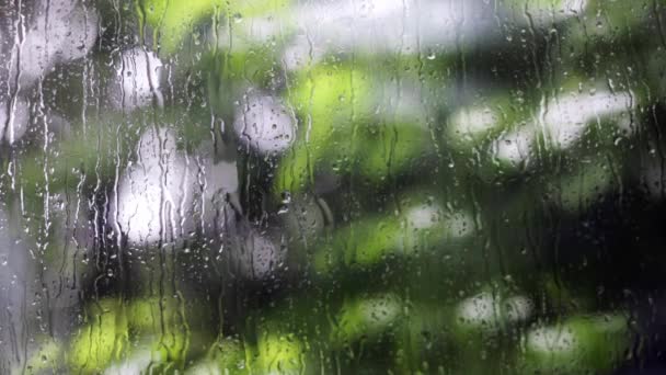 pencere ve Bahçe arka plan üzerinde yağmur - Video, Çekim