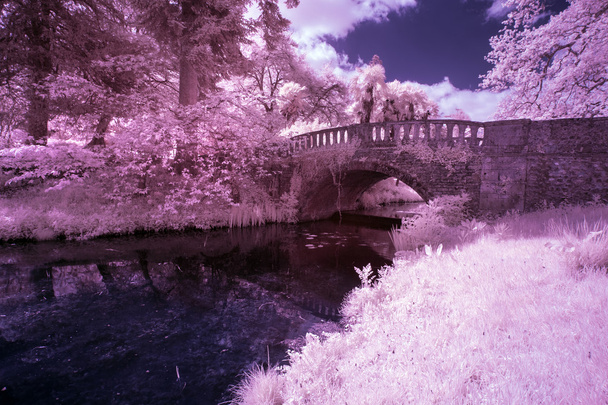 Ohromující obraz infračervené krajiny starého mostu přes řeku v co - Fotografie, Obrázek
