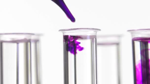 pipeta depositando gotas de tinte púrpura en tubos de ensayo giratorios
 - Imágenes, Vídeo