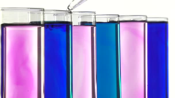 Flüssigkeit mit einer Pipette in Reagenzgläser blau und rosa geben - Filmmaterial, Video