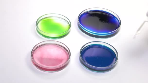 depositar gotitas líquidas utilizando una pipeta en una placa de Petri
 - Imágenes, Vídeo