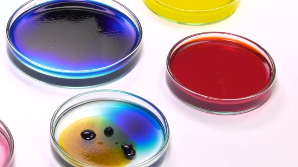 Ablagerung dunkler Flüssigkeitstropfen mit einer Pipette in einer Petrischale - Filmmaterial, Video