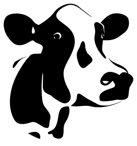 Cow head - Vector, Image