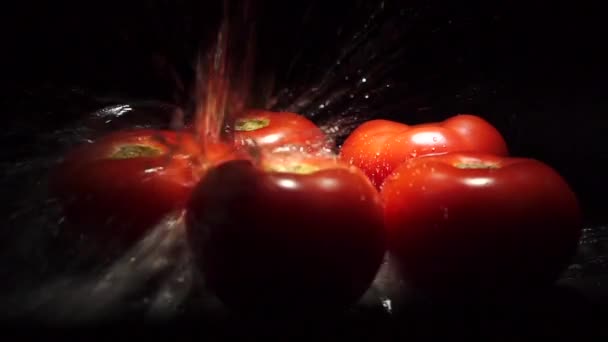 Slow motion of tomatoes and falling water with black background - Filmati, video