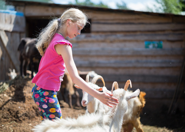 kinderen spelen met geit op boerderij - Foto, afbeelding