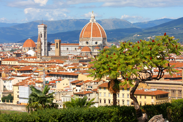Флоренція собору, Тоскана, Італія
 - Фото, зображення